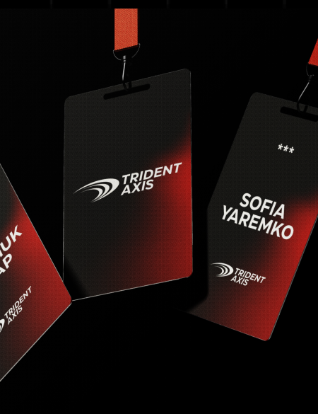 1. Brand Book для Trident Axis